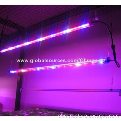 LED Grow Light, for Indoor Garden Plants Growth Vegetables, Fruits, Flowers, Hydroponics, Aeroponics